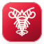 Shelled Logo